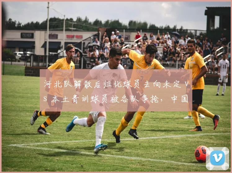 河北队解散后归化球员去向未定 vs 本土青训球员被各队争抢，中国足球人才储备的冰火两重天