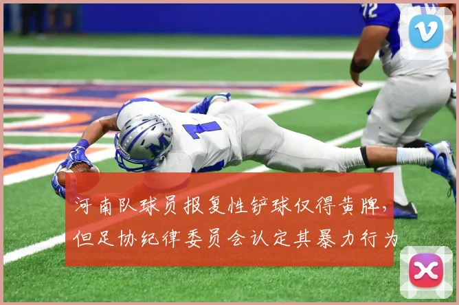河南队球员报复性铲球仅得黄牌，但足协纪律委员会认定其暴力行为并追加停赛，与当场判罚矛盾
